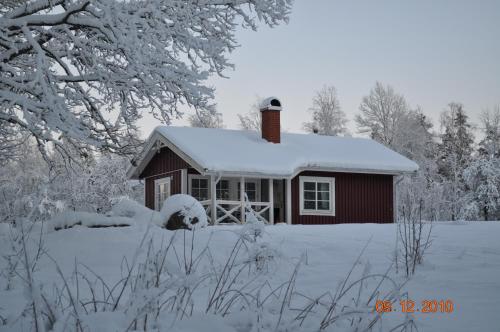 Wismens Natur Fiske — Torup