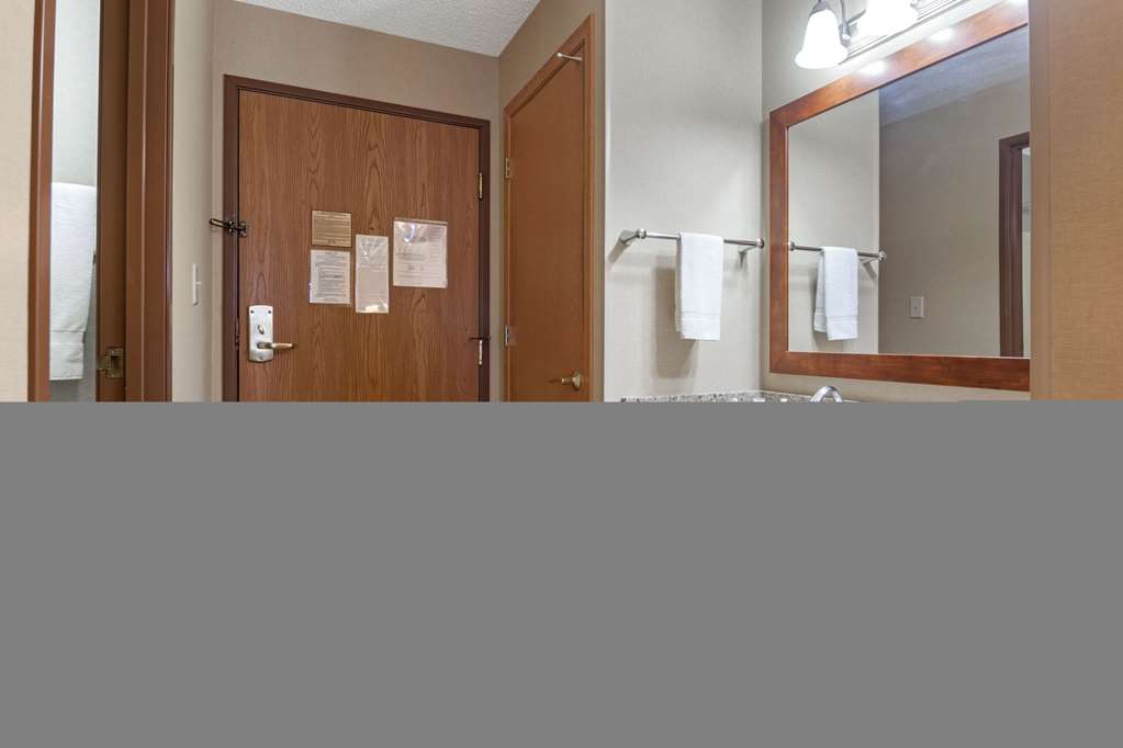 Comfort Inn Iron Mountain North - photo 21