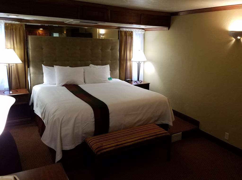Best Western Branson Inn And Conference Center - photo 14