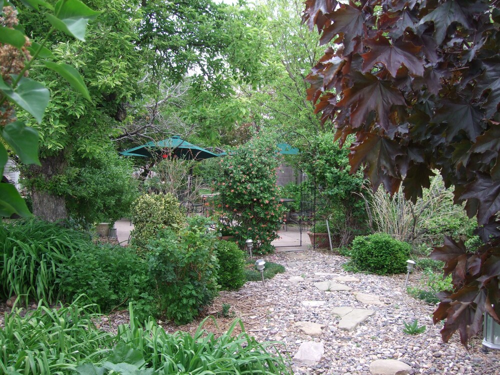 The Iron Gate Inn - photo 50