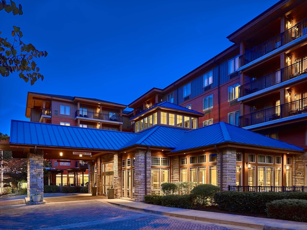 Hilton Garden Inn Gatlinburg - photo 37
