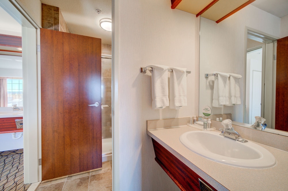 Holiday Inn West Yellowstone by IHG. - photo 94