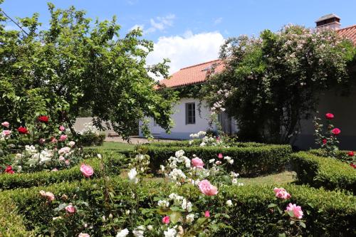 Monte dos Papa Figos — 4-Star Luxury Hotel in Sao Teotonio, Portugal