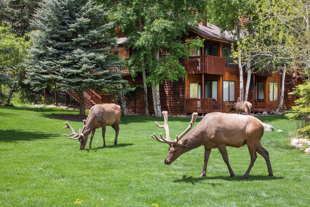 Aspen Winds on Fall River - photo 16