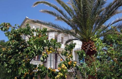Apartments by the sea Barbat Rab 22754 — 4-Star Luxury Hotel in Rab, Croatia