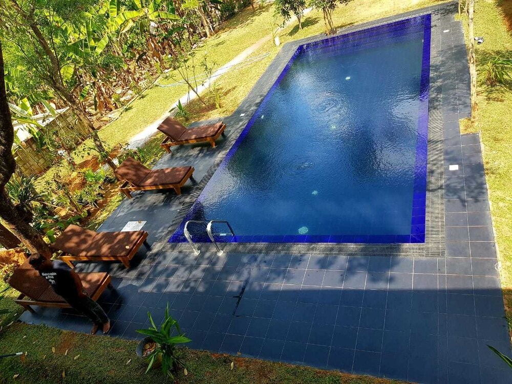 il Frangipane in Sigiriya, Sri Lanka