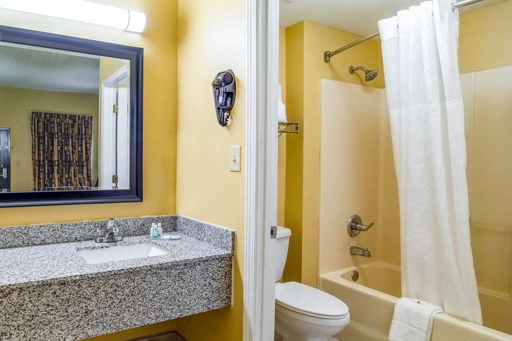 Quality Inn West Columbia Cayce - photo 14