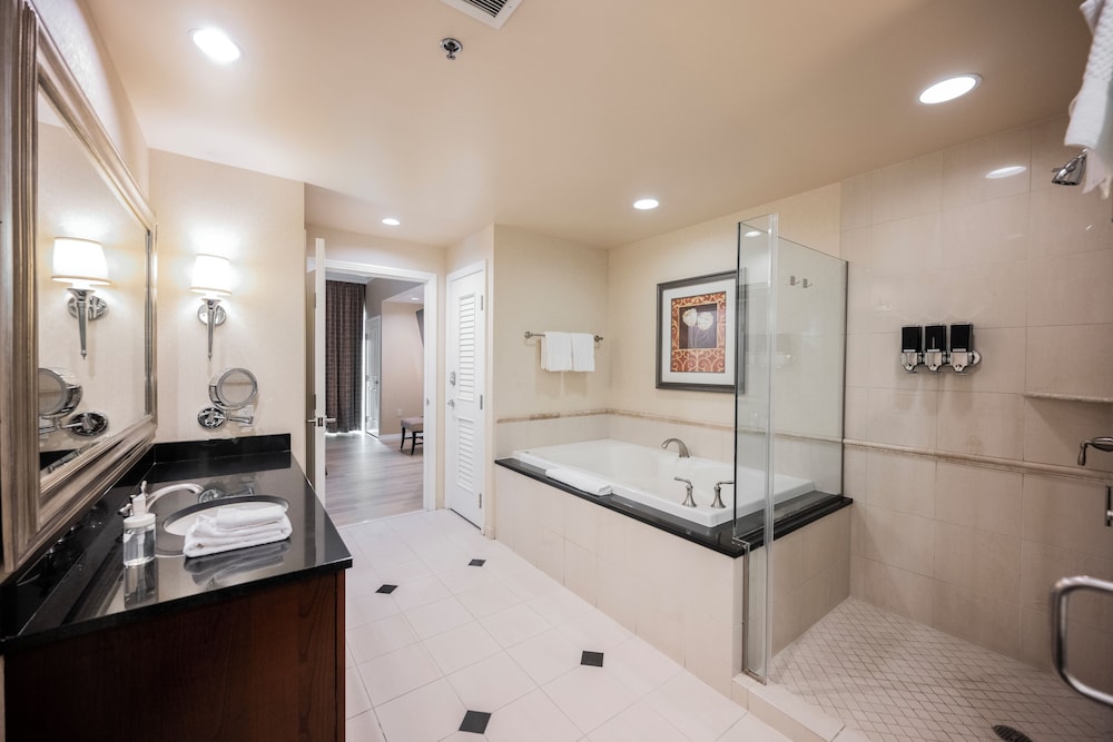 StripViewSuites at Signature - photo 223