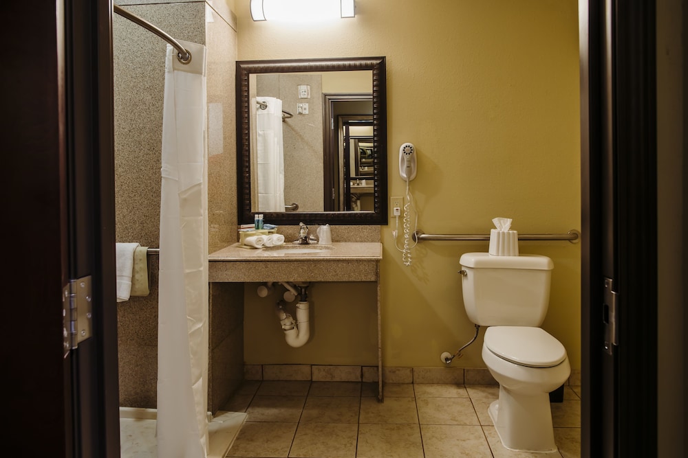 Holiday Inn Express & Suites Waller Prairie View by IHG - photo 21