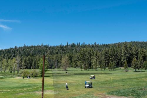 Mother Nature's Inn - photo 18
