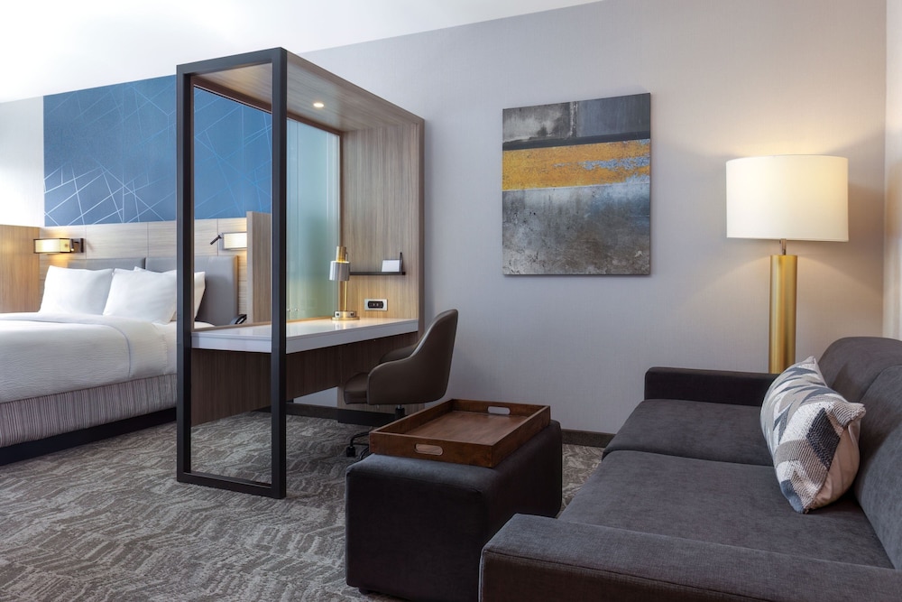 SpringHill Suites by Marriott Pleasanton - photo 7