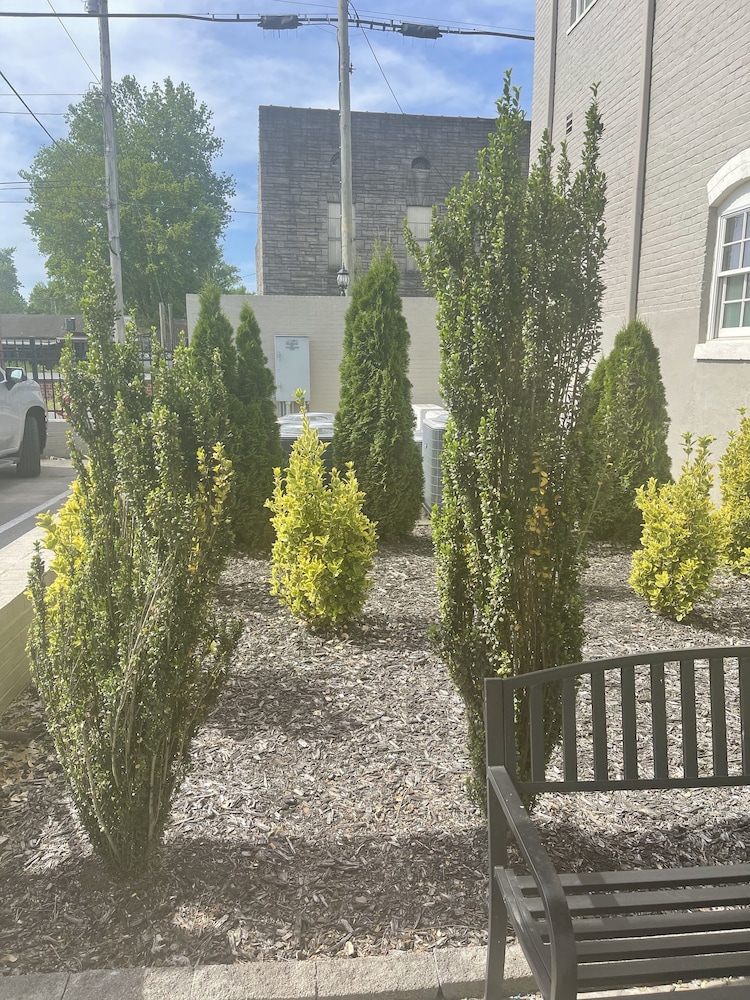 The Meadows Hotel - photo 33
