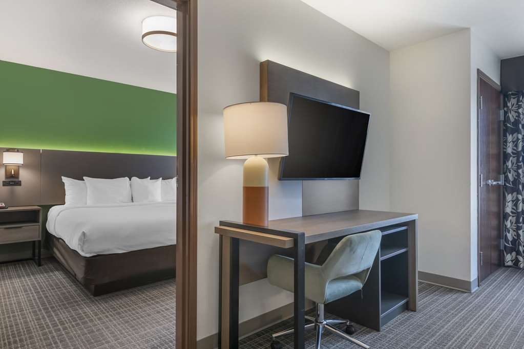 Comfort Suites Conference Center Rapid City - photo 27