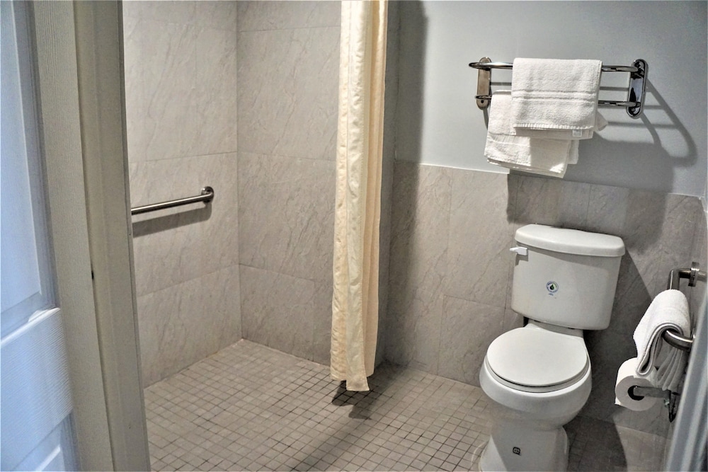 Palace Inn Antoine - photo 21