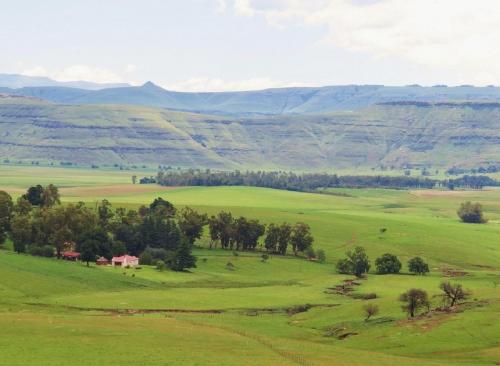 Fairbairn Guest Farm - last minute hotel in Maclear