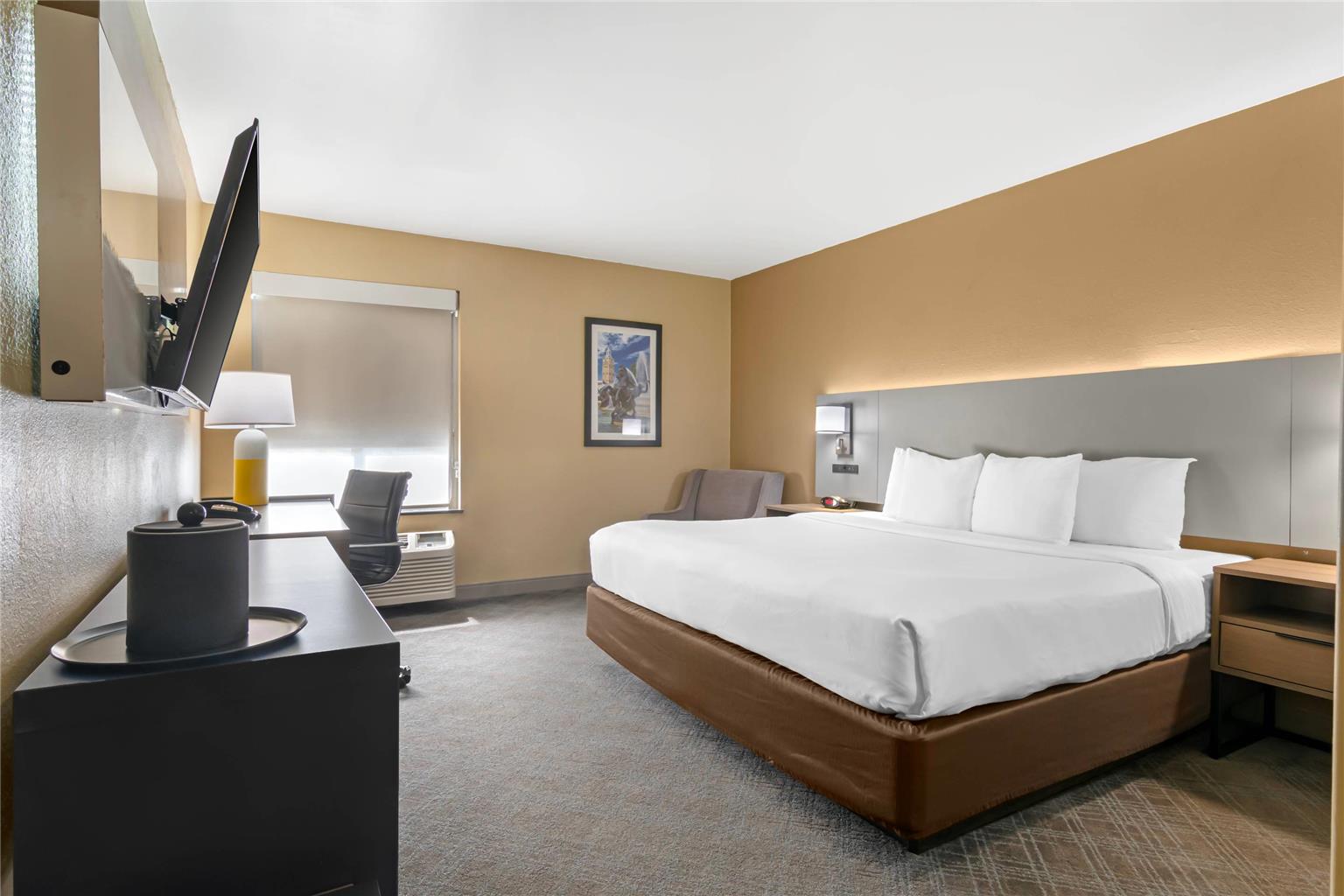 Comfort Inn & Suites Kansas City Northeast - photo 8