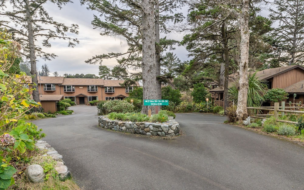 Gold Beach Inn - photo 38