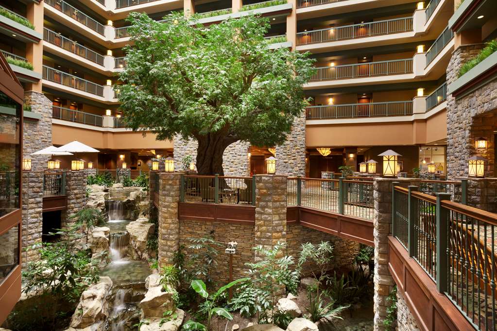 Chateau On The Lake Resort Spa and Convention Center - photo 25