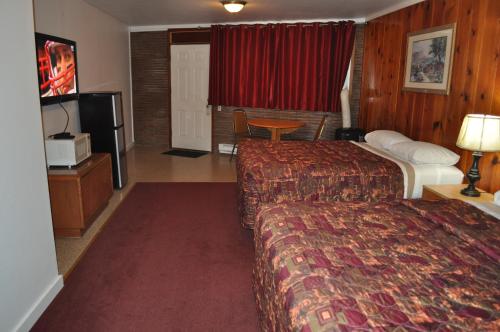Golden Lion Motel - photo 3