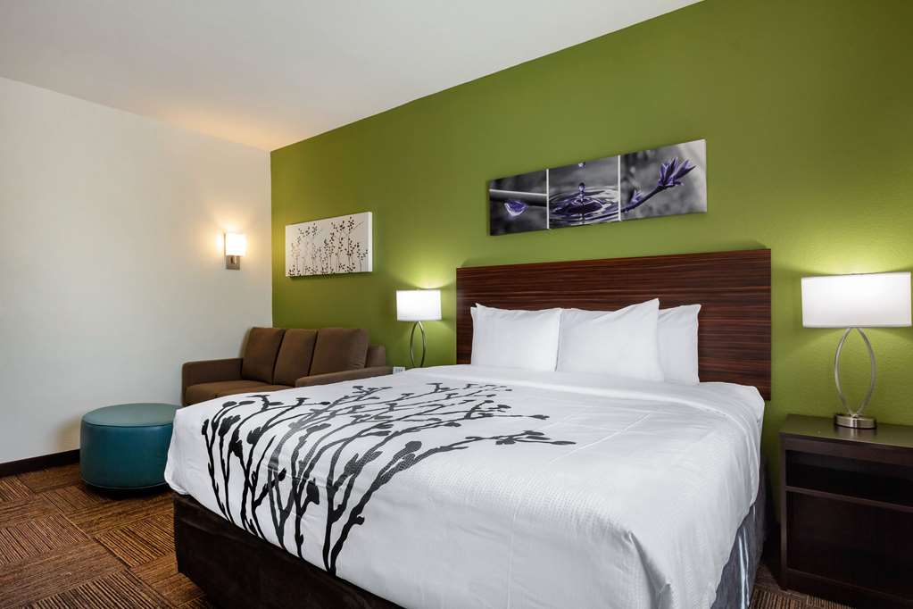 Sleep Inn & Suites Tampa South - photo 34