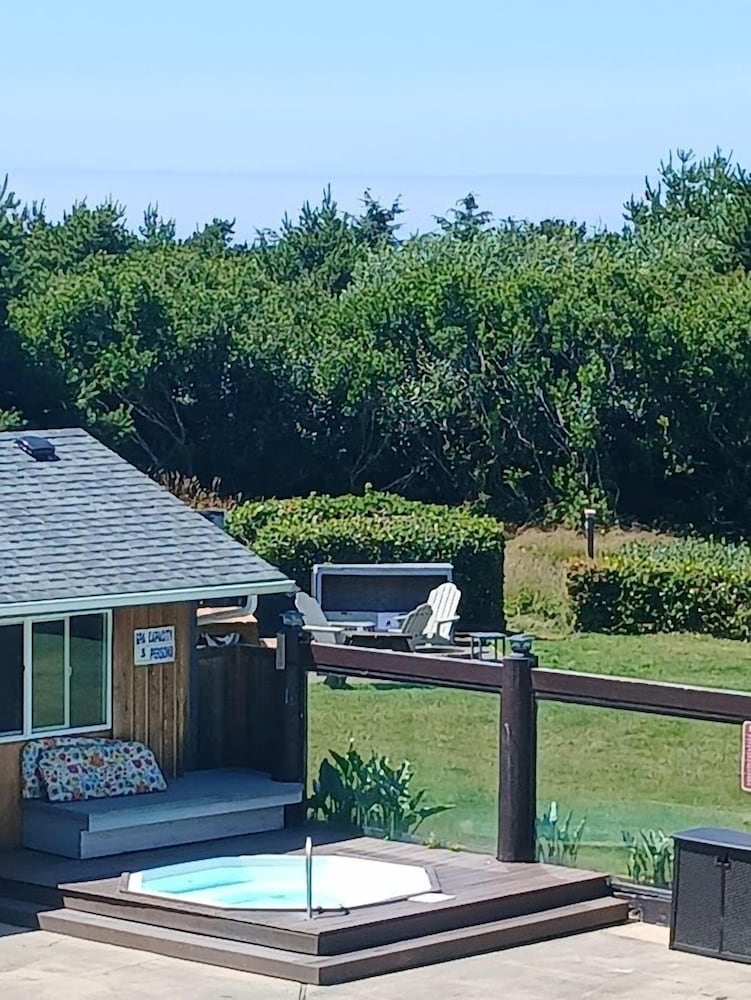 The Grey Gull - photo 530
