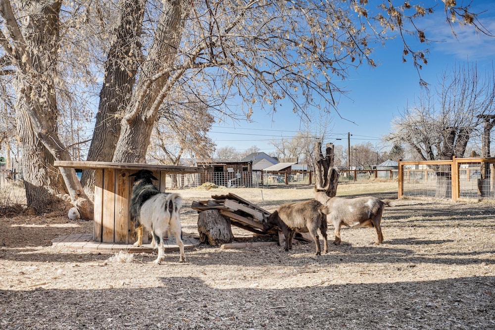 Cozy Parowan Studio: 12 Mi to Brian Head Resort - photo 20
