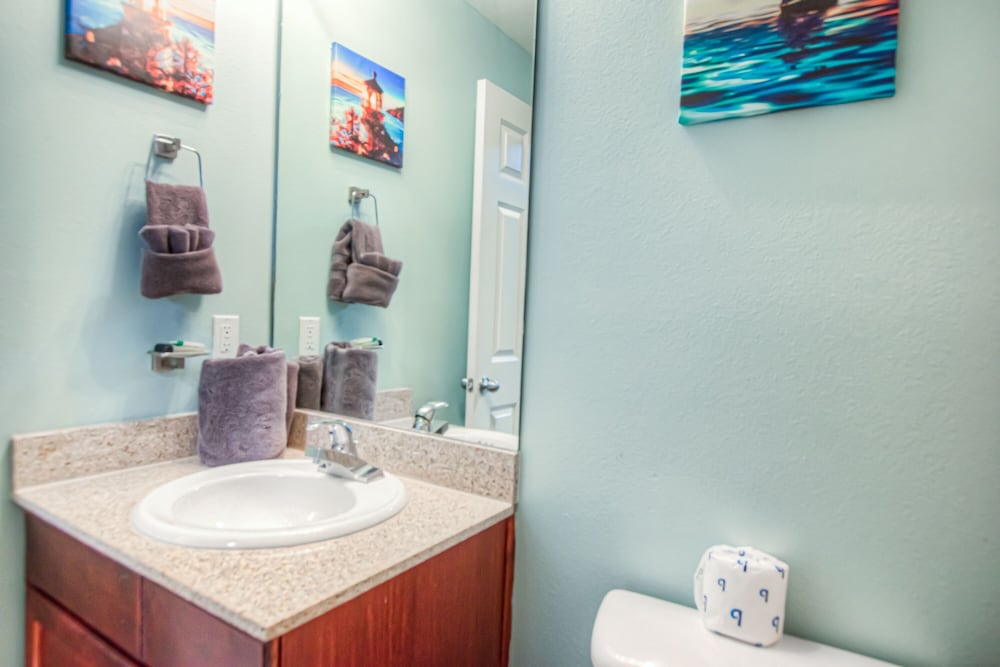 Laketown Wharf Resort by Aneliya's Rentals - photo 766