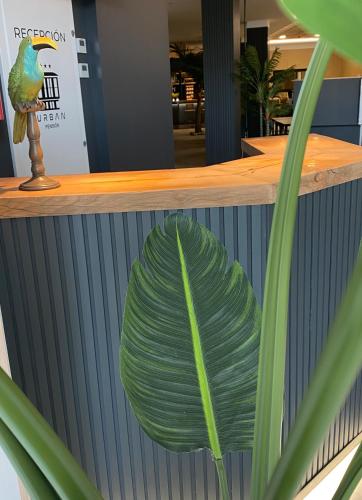 Urban Pensión - carbon neutral hotel in Melide