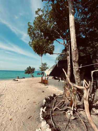 Juita Glamping Perhentian island in Kuala Besut, Malaysia