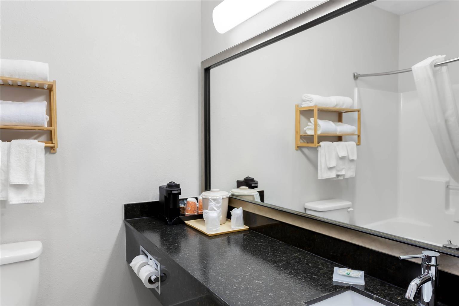 Quality Inn & Suites Niles - photo 39