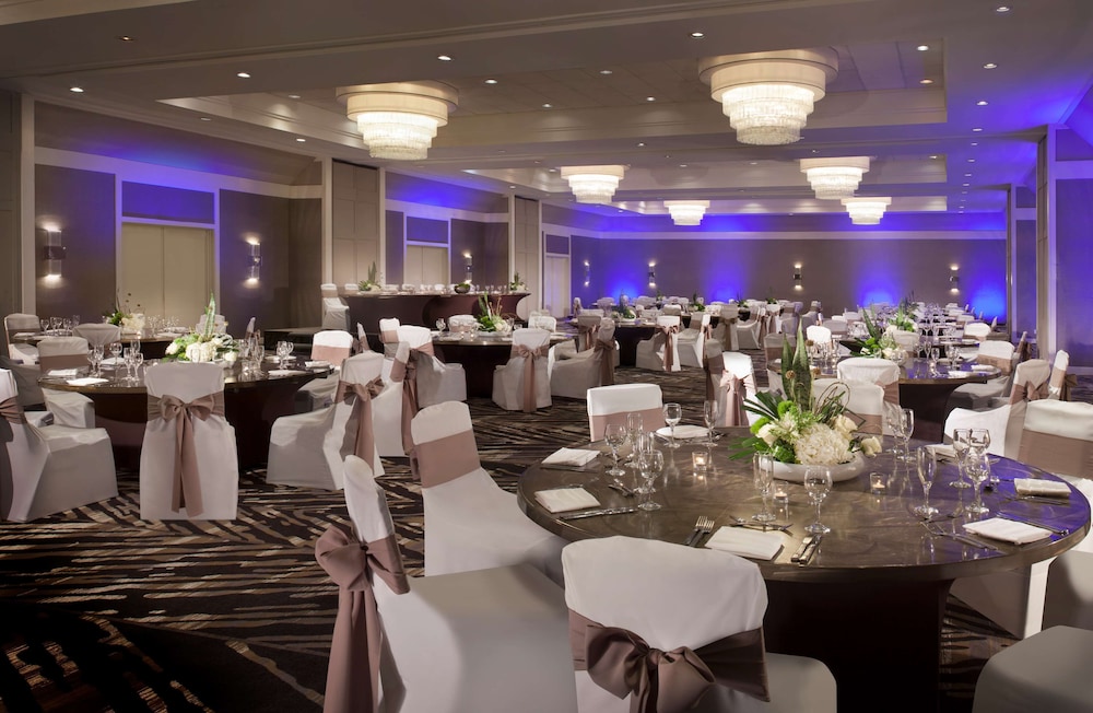Hilton Tampa Airport Westshore - photo 104