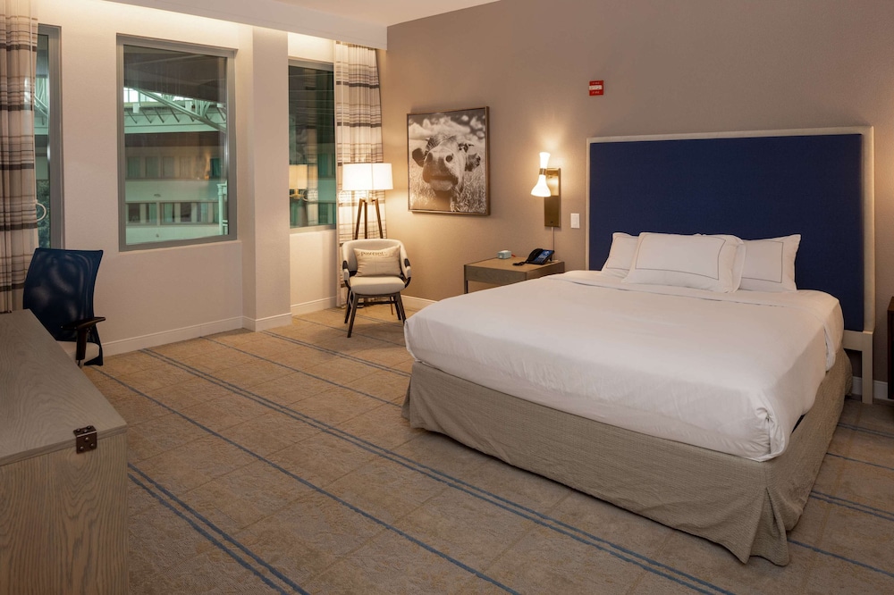 Hilton Austin Airport - photo 8