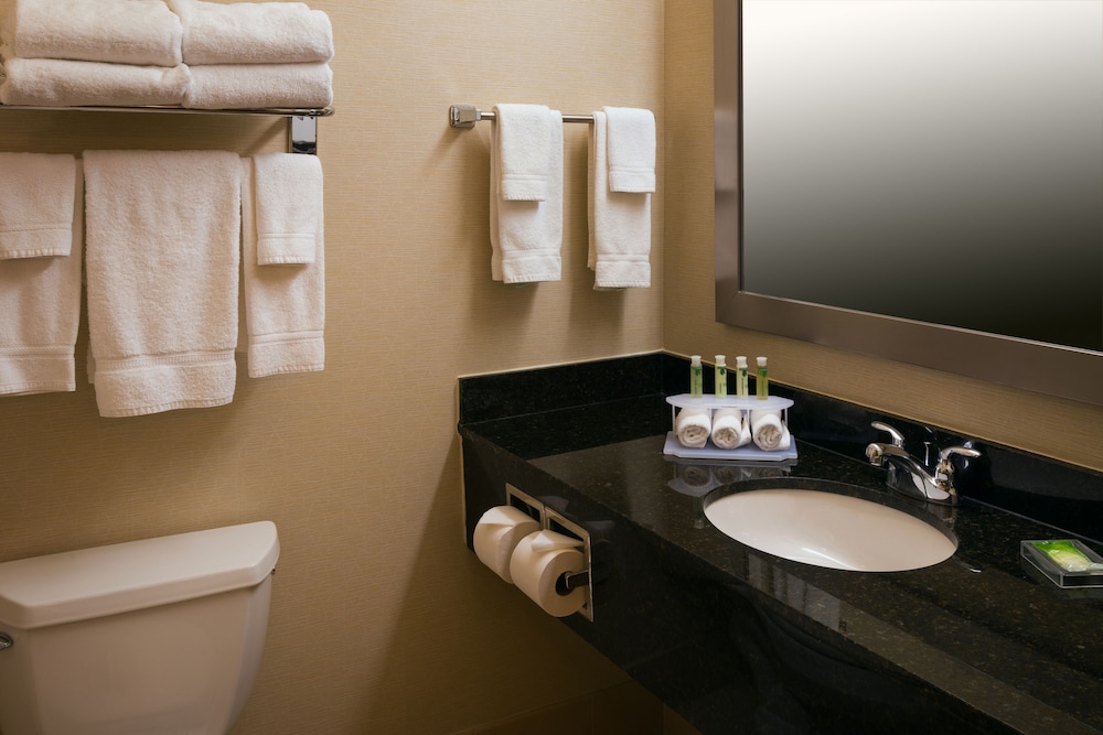 Holiday Inn Express & Suites Chicago West Roselle by IHG - photo 19
