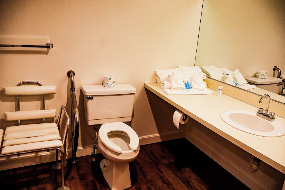 Snowy Owl Inn And Resort - photo 46