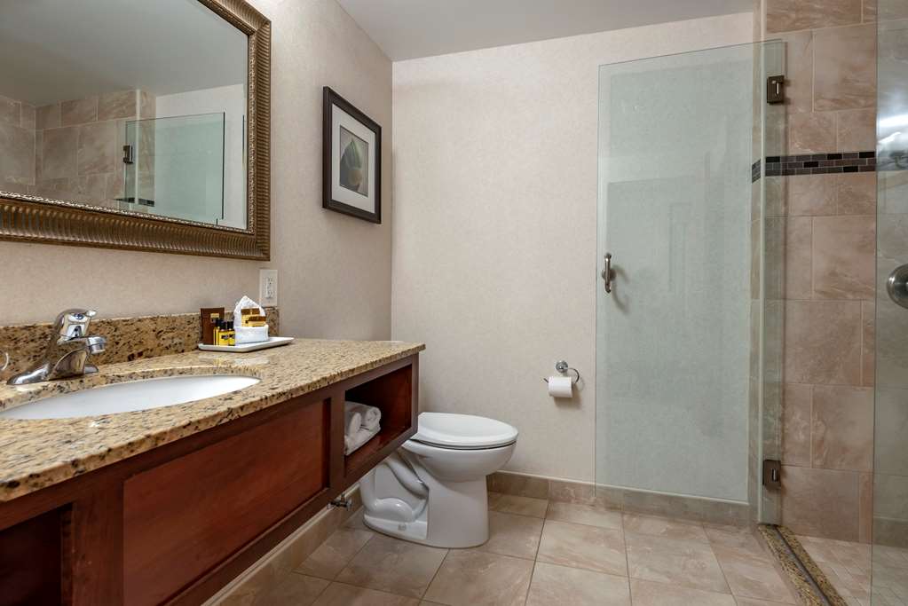 Best Western Plus Oswego Hotel and Conference Center - photo 49