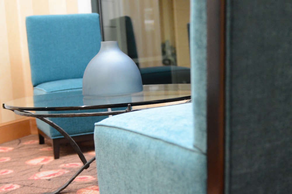 Hilton Garden Inn Atlanta Airport Millenium Center - photo 44