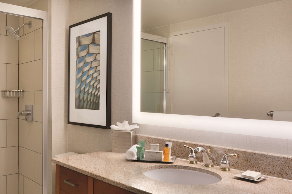 Hilton Chicago Magnificent Mile Suites - photo 36