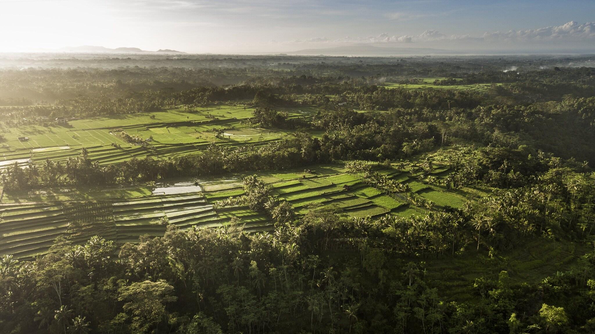 COMO Shambhala Estate in Ubud, Indonesia