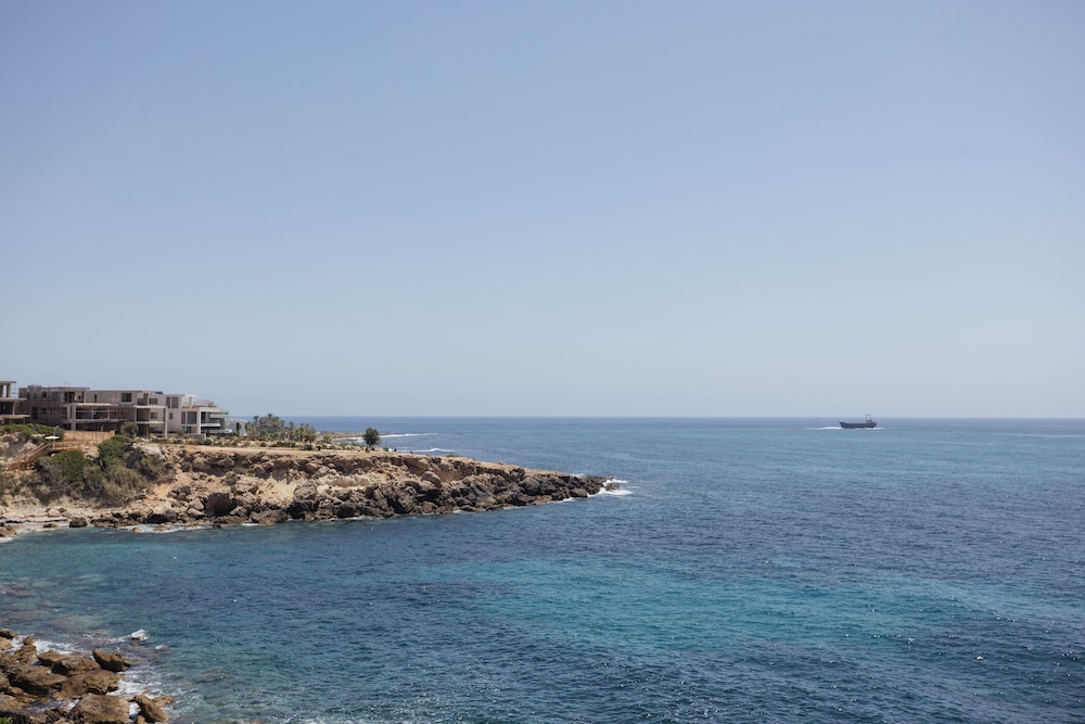 מראה חיצוני