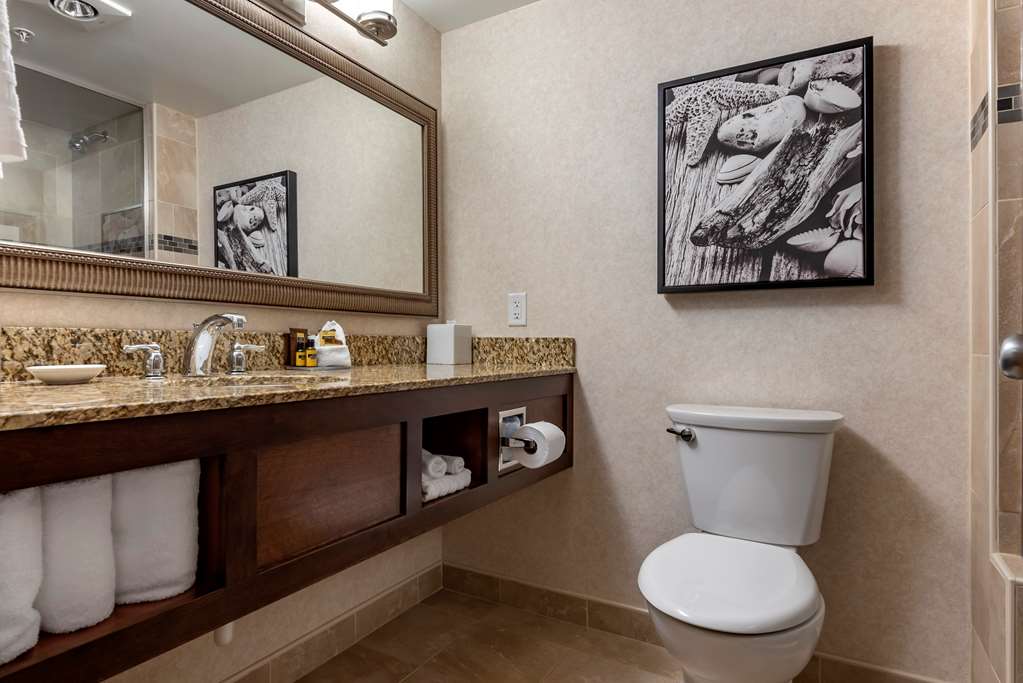 Best Western Plus Oswego Hotel and Conference Center - photo 47