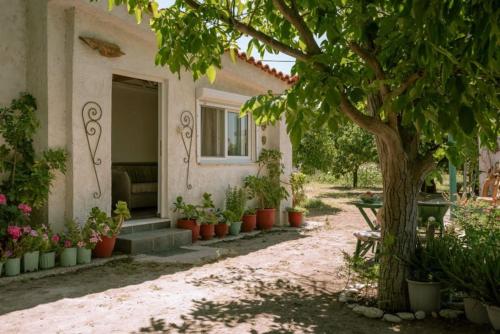 Beautiful cottage house at Mesokampos — 4-Star Luxury Hotel in Samos, Greece