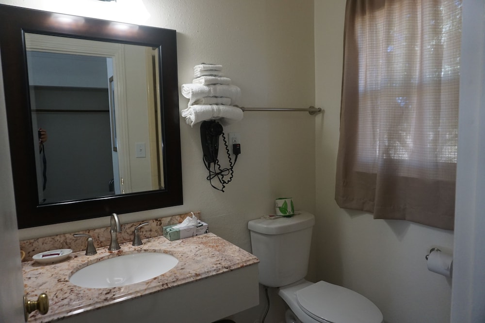Blue Gum Motel - photo 28