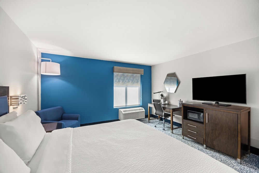 Holiday Inn Express Asheville Woodfin by IHG - photo 24