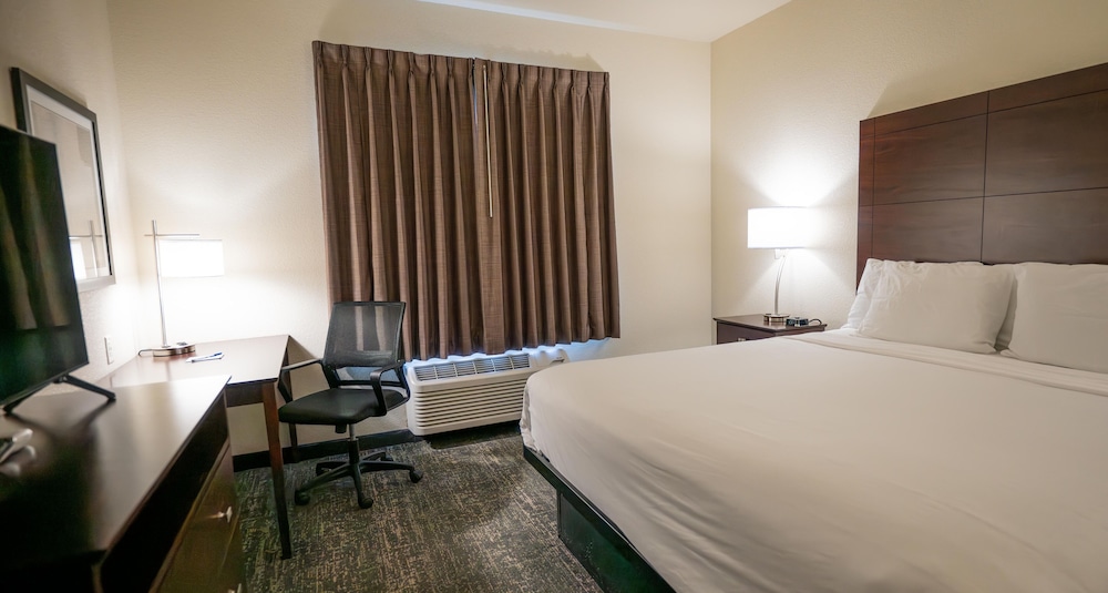 Cobblestone Hotel & Suites Lamar - photo 15