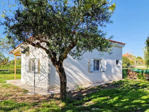 Cozy Owl's Studio Home — 4-Star Luxury Hotel in Pyrgos, Greece