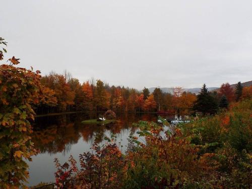 Wells River Motel - photo 34