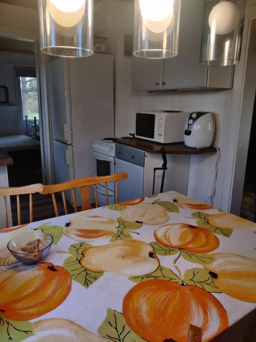 Talo Jarven Rannalla pet-friendly hotel Reisjaervi