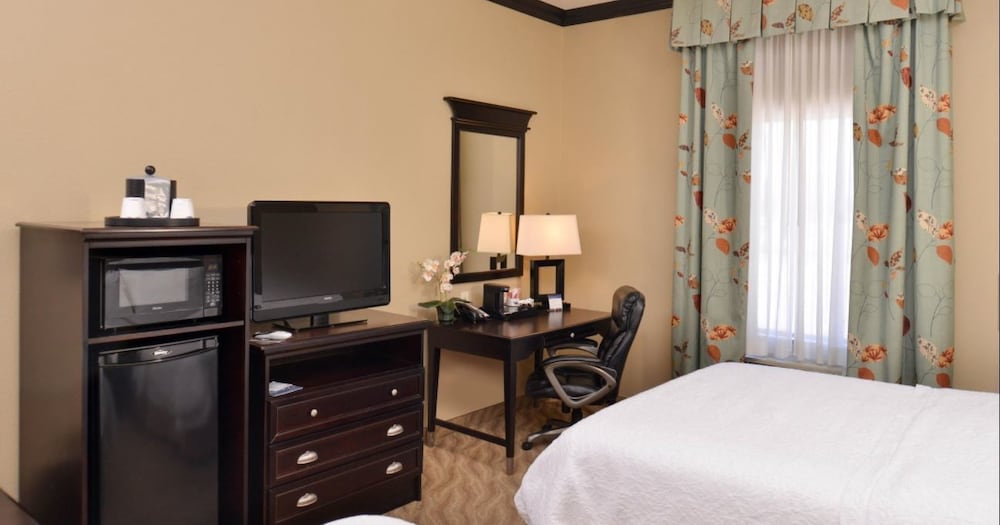 Hampton Inn Van Horn - photo 5