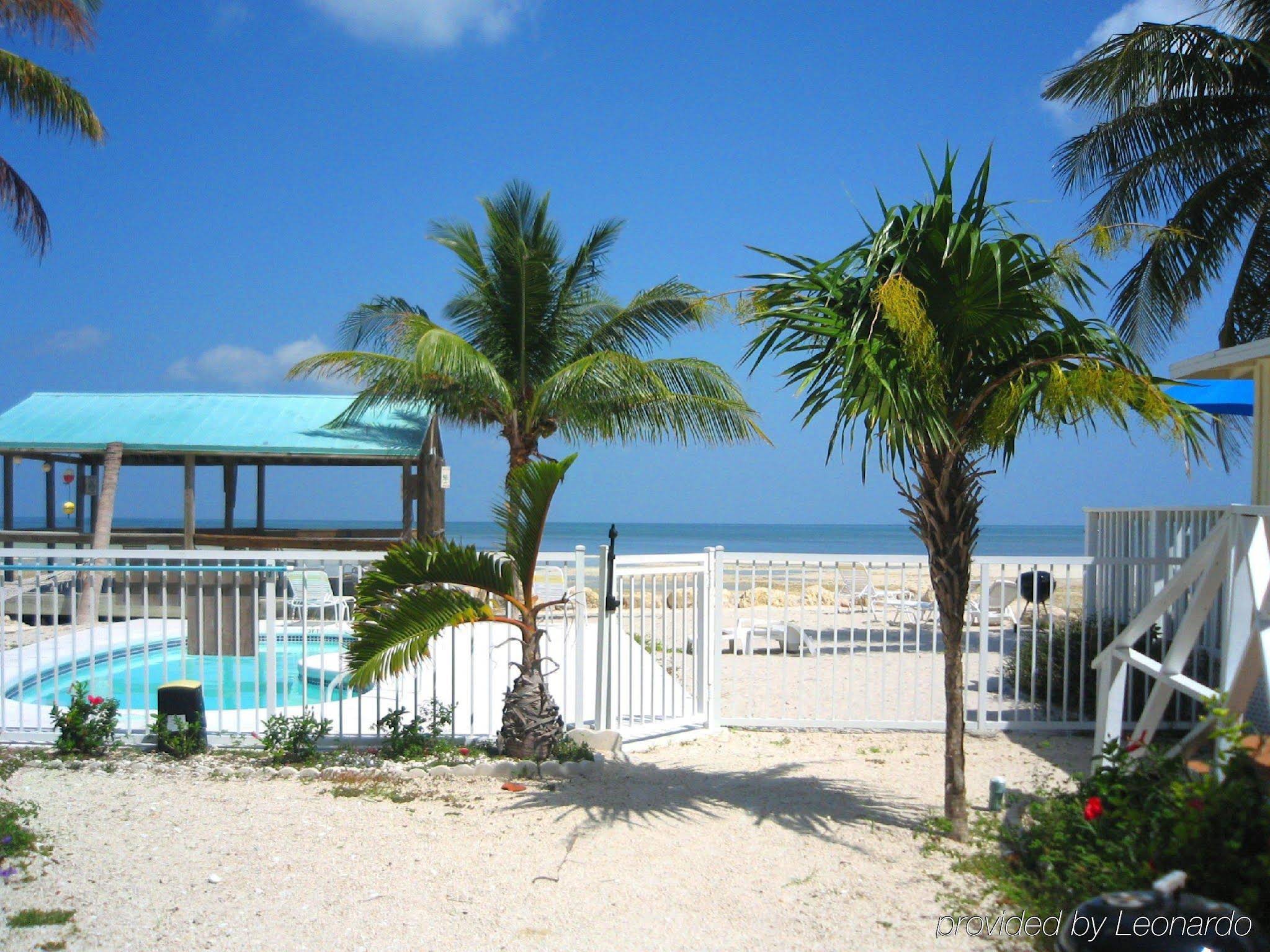 Bonefish Resort - photo 9