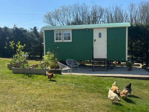 Toms Hut and Robins Rest Shepherd Huts near Wadebridge in Wadebridge, United Kingdom